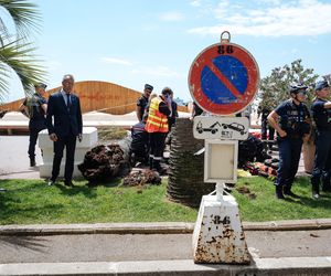 Dramat na festiwalu w Cannes! Producent uderzony przez palmę trafił do szpitala 