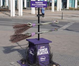 „Parking dla czarownic przy Piotrkowskiej. Zagadkowa sprawa zaginięcia latającej miotły