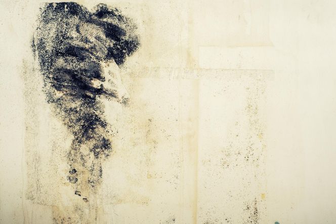 Grzyb na ścianie. Jak pozbyć się wilgoci z piwnicy?