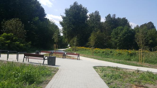 Pomost widokowy na Pogorii II w Dąbrowie Górniczej