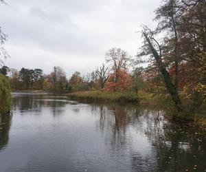 Park Sołacki w Poznaniu jesienią