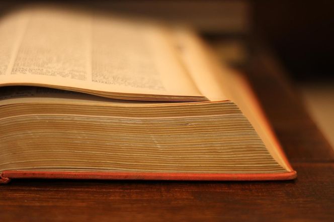 Lista najkrótszych imion po Śląsku