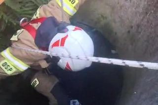 Pies wpadł do głębokiej studni. Na pomoc ruszyli strażacy