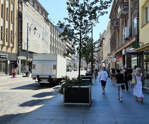 Katowice jak patelnia. Obowiązuje ruch cieniostronny. Nawet gołębie chowają się w cieniu