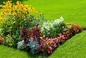 Rabaty kwiatowe w ogrodzie – ciekawe pomysły kwietnych wzorów z roślin sezonowych