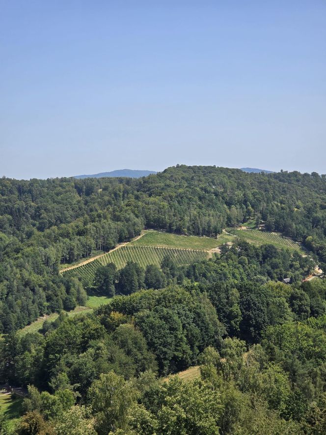 Wyjątkowa atrakcja turystyczna w Małopolsce. To stare zamczysko nad Dunajcem