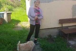 Czarownice remontują dom 