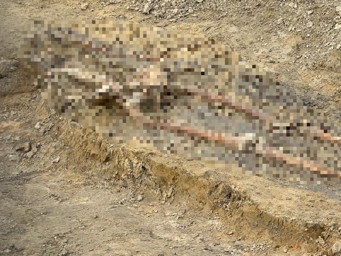 Na budowie trasy tramwajowej wykopali ludzki szkielet. Czyje szczątki odnaleziono?