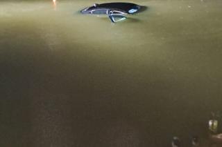 Pędził BMW i wpadł do stawu