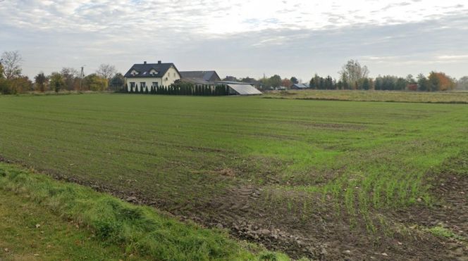 Osówka