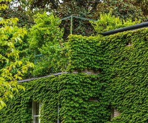 Willa Romualda Gutta na Kolonii Profesorskiej w Warszawie