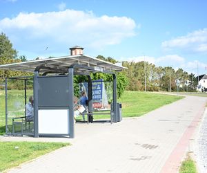 Pies pogryzł 3-latka na przystanku