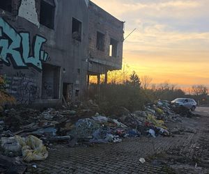 Duże zmiany Nowej Hucie. Trwa wielkie sprzątanie po latach zaniedbań 