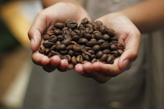 Najpopularniejszy gatunek kawy na świecie ma 600 tys. lat