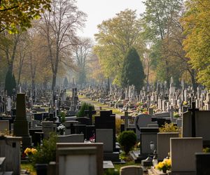 Wyszukiwarka grobów w Warszawie. Jak łatwo odnaleźć bliskich przed 1 listopada?