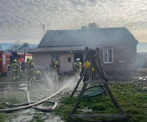 Dzielnicowa z Ostrowa Lubelskiego uratowała sześć zwierząt z płonącego domu