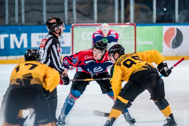 GKS Katowice - KH Energa Toruń, zdjęcia z Satelity