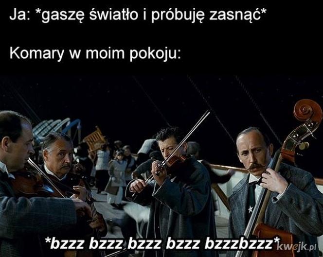 Czy do pokoju Hobbit wrzucił pierścień? Tak wyglądają upały w Polsce. MEMY