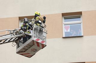 Alpiniści dla WOŚP w Lublinie. Superbohaterowie odwiedzili małych pacjentów