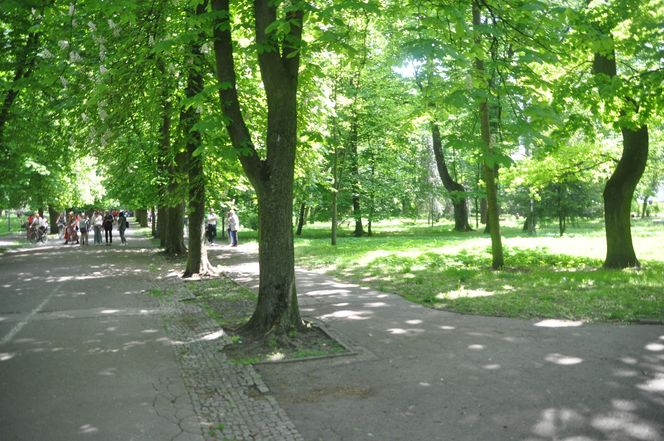 Kielce. Święto Konstytucji 3 Maja (2025)