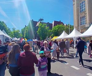 Piknik nad Odrą