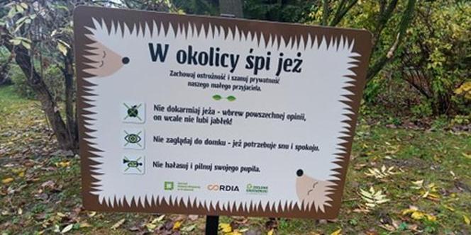 Domki dla jeży na Grzegórzkach