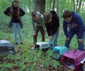 O jeże zadbają uczniowie z Technikum Leśnego w Miliczu