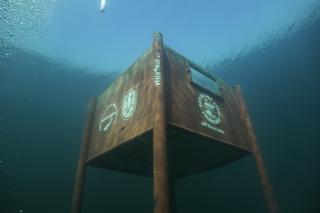 Co skrywa Jezioro Tarnobrzeskie? Latem zaroi się tam od mieszkańców 