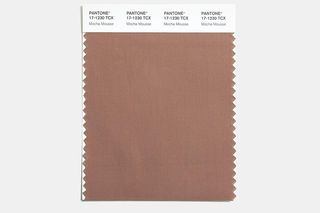 Mocha Mousse - Kolor Roku 2025