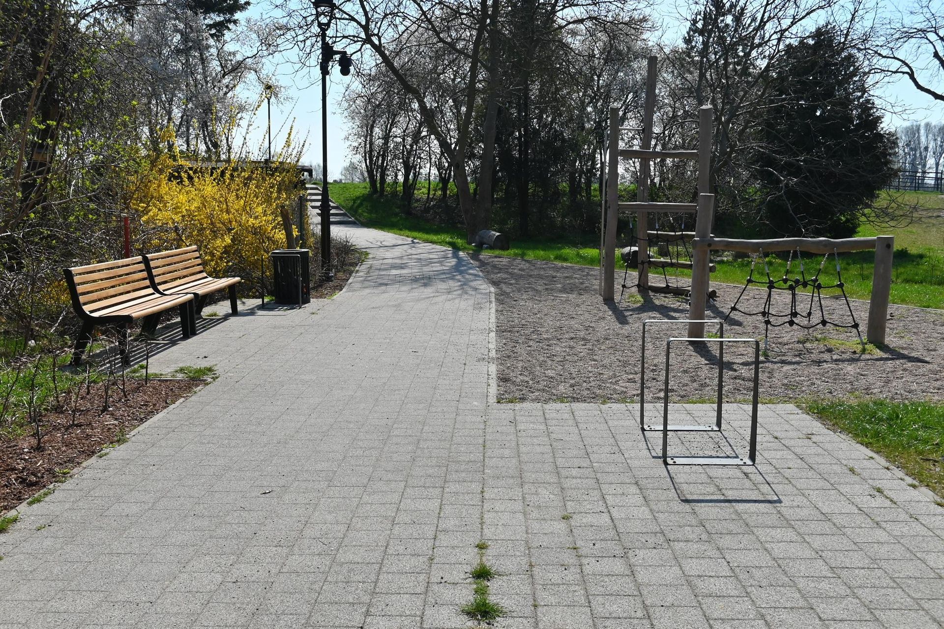 Rewitalizacja Dolnego Miasta i Starego Przedmieścia