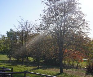 Park im. św. Jana Pawła II w jesiennych barwach