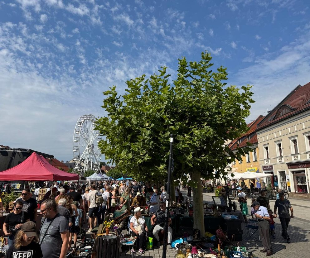 Targ staroci w Pszczynie (10.08)