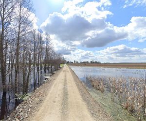 Zatopiony las woj. lubelskie