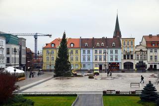 Magia świąt opanowała Bydgoszcz! Na Starym Rynku pojawiła się choinka! [ZDJĘCIA]