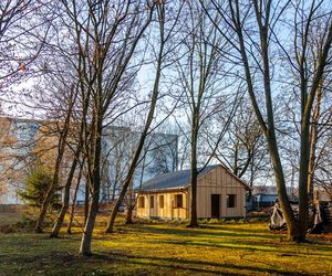 Odbudowa domków fińskich na Polu Mokotowskim