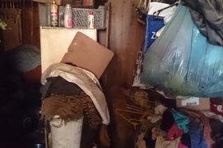 Dom grozy w Łodzi: Dwoje dorosłych i 20 wychudzonych psów żyło w niewyobrażalnym SMRODZIE I SYFIE!