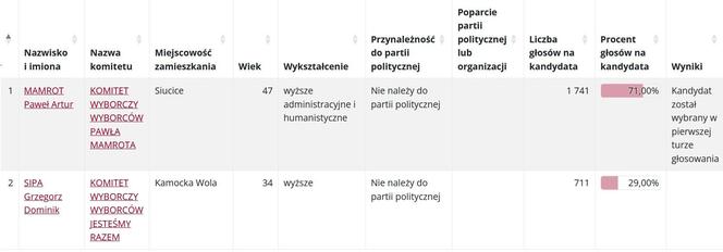 Wybory samorządowe 2024. Sprawdź, jak głosowano w gminach powiatu piotrkowskiego [GALERIA]