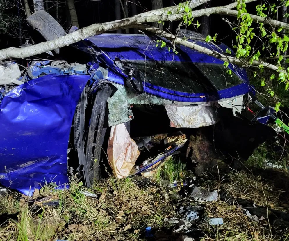 Koszmarny wypadek na DK1 w Kobiórze. 32-latka zderzyła się samochodem z łosiem!