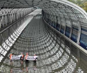 Protest Ostatniego Pokolenia na zalanej S8