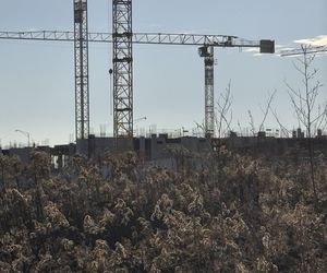 Nowy Szpital Onkologiczny we Wrocławiu rośnie w oczach