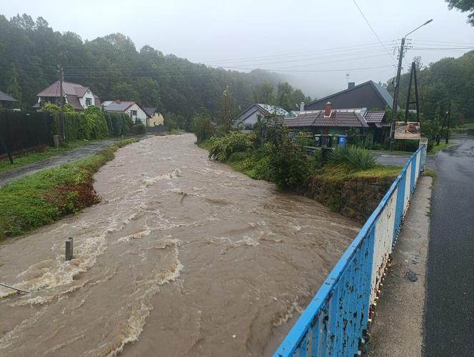 Ewakuacja części mieszkańców Jarnołtówka. Złoty Potok może wylać