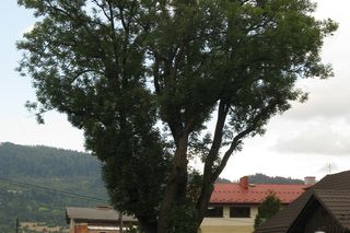 Rajcza najbardziej wysunięta wsią na południe woj. śląskiego