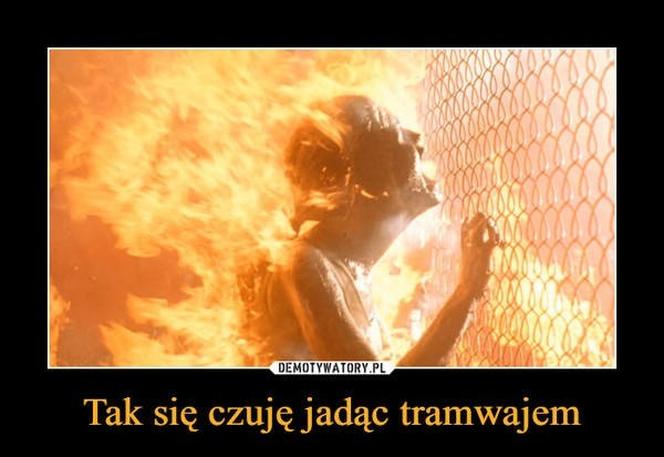 Czy do pokoju Hobbit wrzucił pierścień? Tak wyglądają upały w Polsce. MEMY
