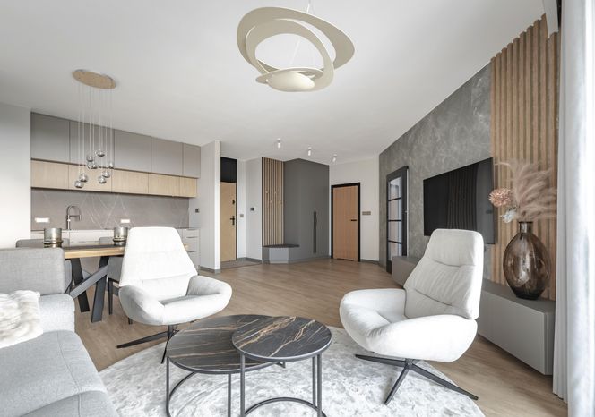Salon i kuchnia