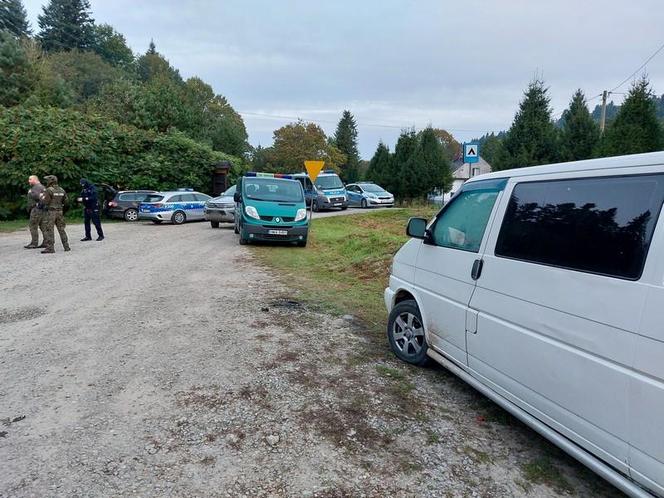 Najazd rumuńskich grzybiarzy na Podkarpaciu