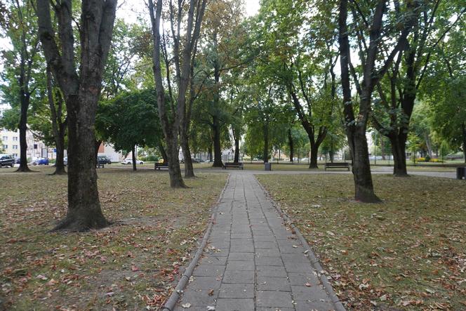 Plac Mordechaja Tenenbauma. To część Skweru przy Żabiej w Białymstoku