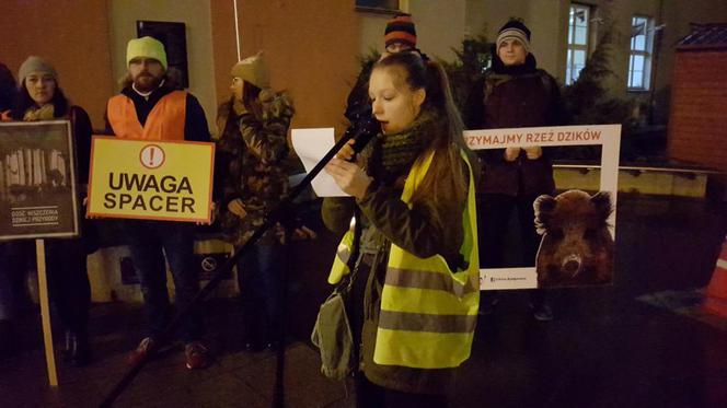 Ekolodzy boją się o dziki. Wyszli na ulice Bydgoszczy, by zaprotestować