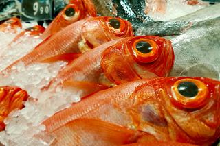 Karmazyn (ryba): wartości odżywcze i właściwości zdrowotne