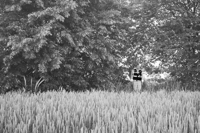 Ciało Marty Sz. odnalezione w zbożu