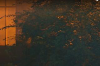 M jak miłość, odc. 1709: Kisielowa (Małgorzata Rożniatowska), Żak (Krzysztof Tyniec)